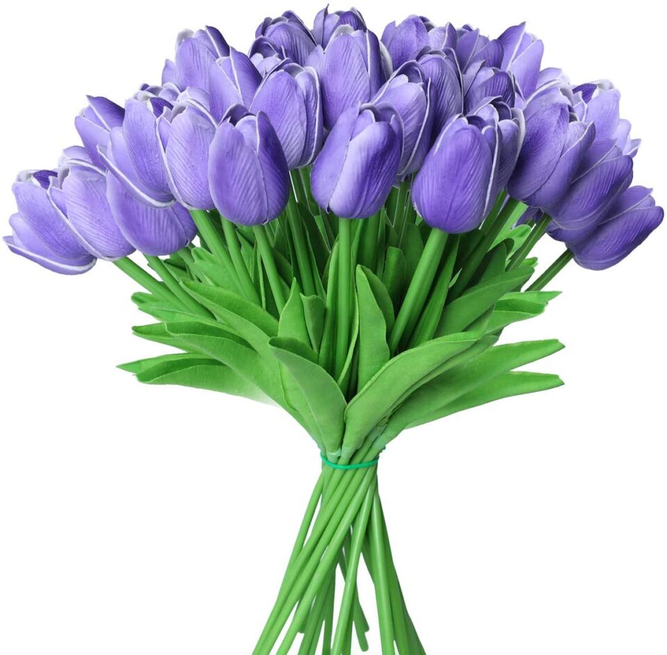 Bouquet de 5 tulipes violette